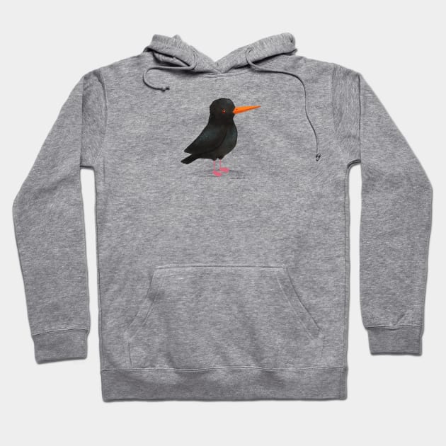 African Oystercatcher Bird Hoodie by julianamotzko